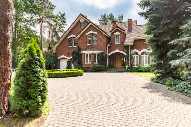 Best Driveway Pavers Near Me  in Roanoke Rapids, NC